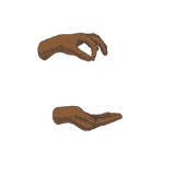 fortune club
